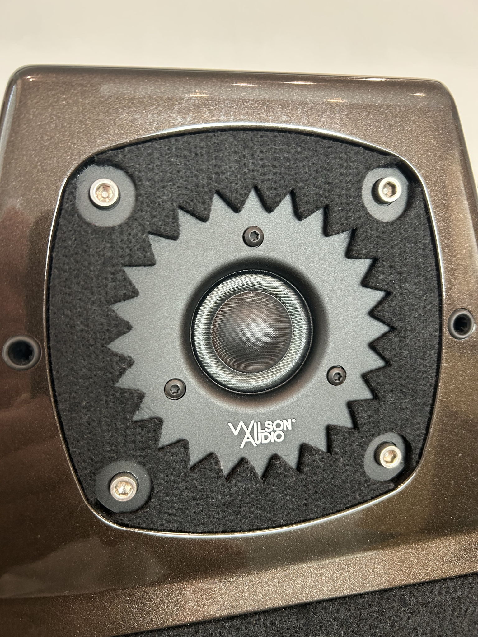 Wilson Audio Sasha 2 - Stunning! 6