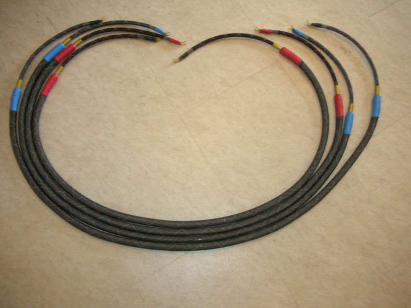 Cerious Technologies Graphene Extreme Speaker Cables