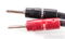 AudioQuest CV-8 Speaker Cables; 8ft Pair; CV8; 72v DBS ... 8