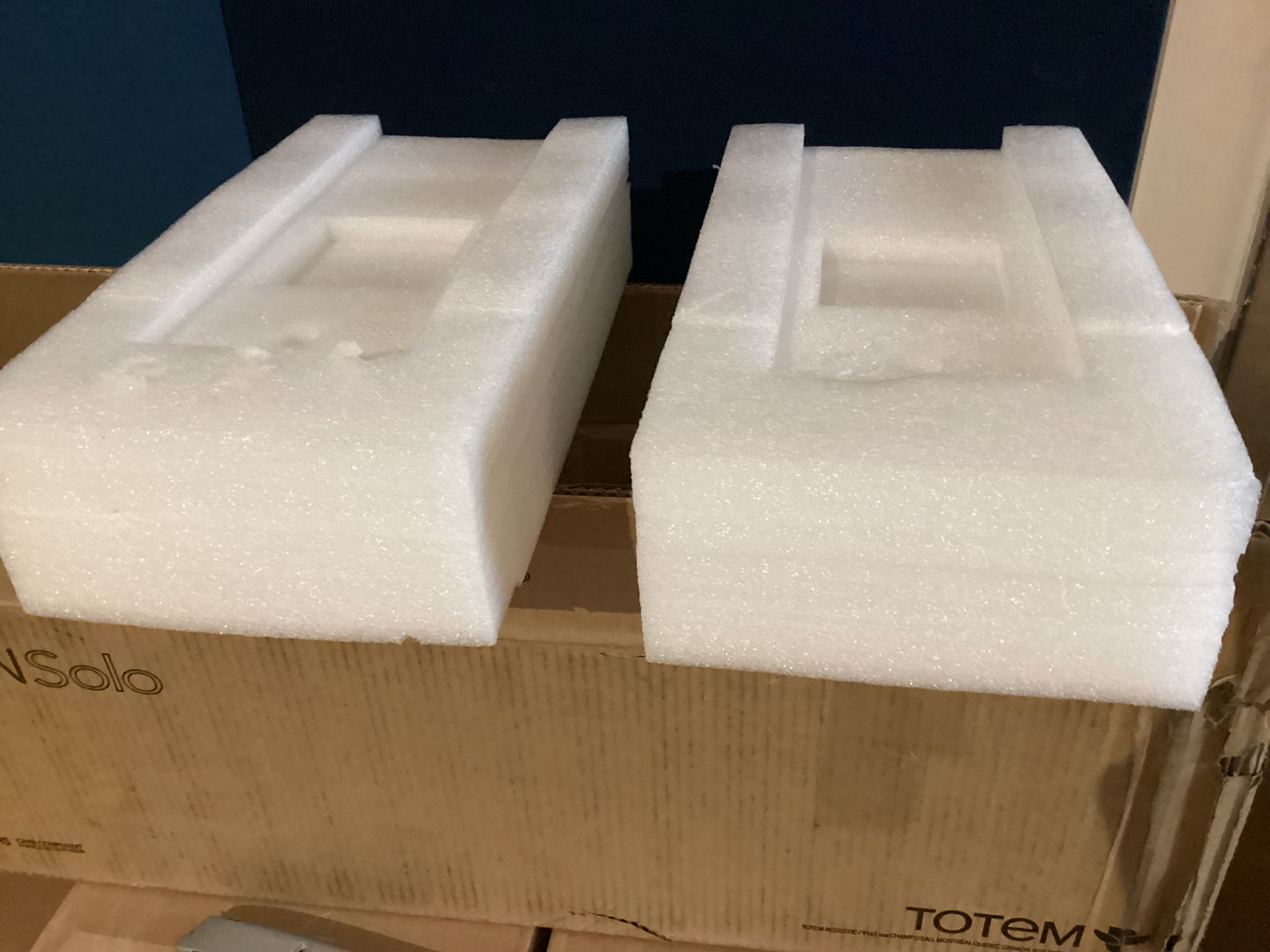 Totem Acoustic Solo Center (Now $299) 9