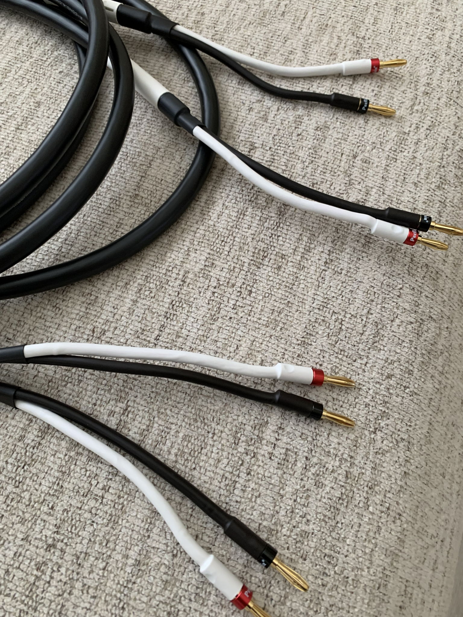 Mogami  3103, 10ft pair High Resolution speaker cables.