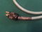 Kimber PK10 6ft power cord Mint customer trade-in 2