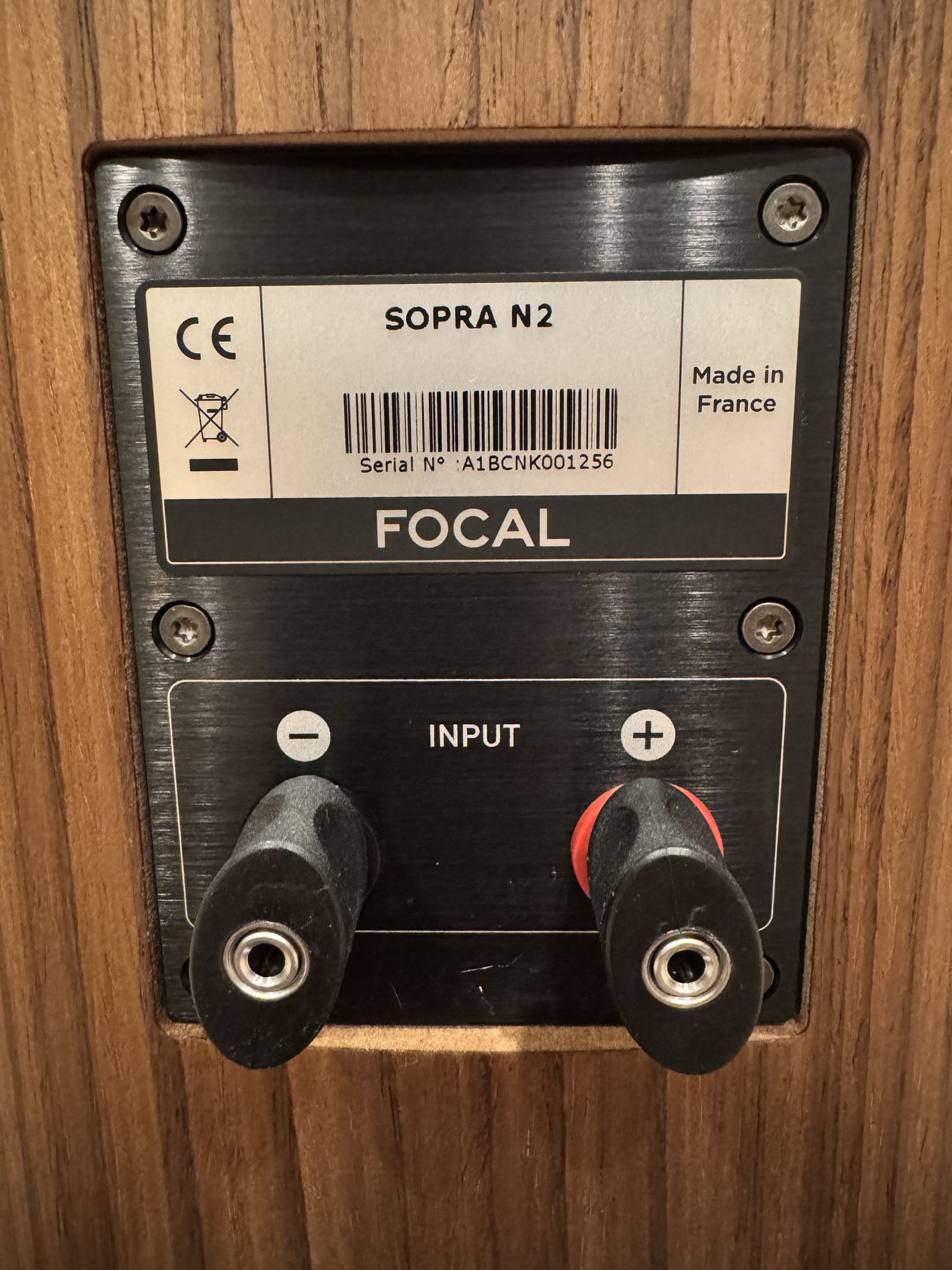 Focal Sopra 2 and Sopra Center Channel 10