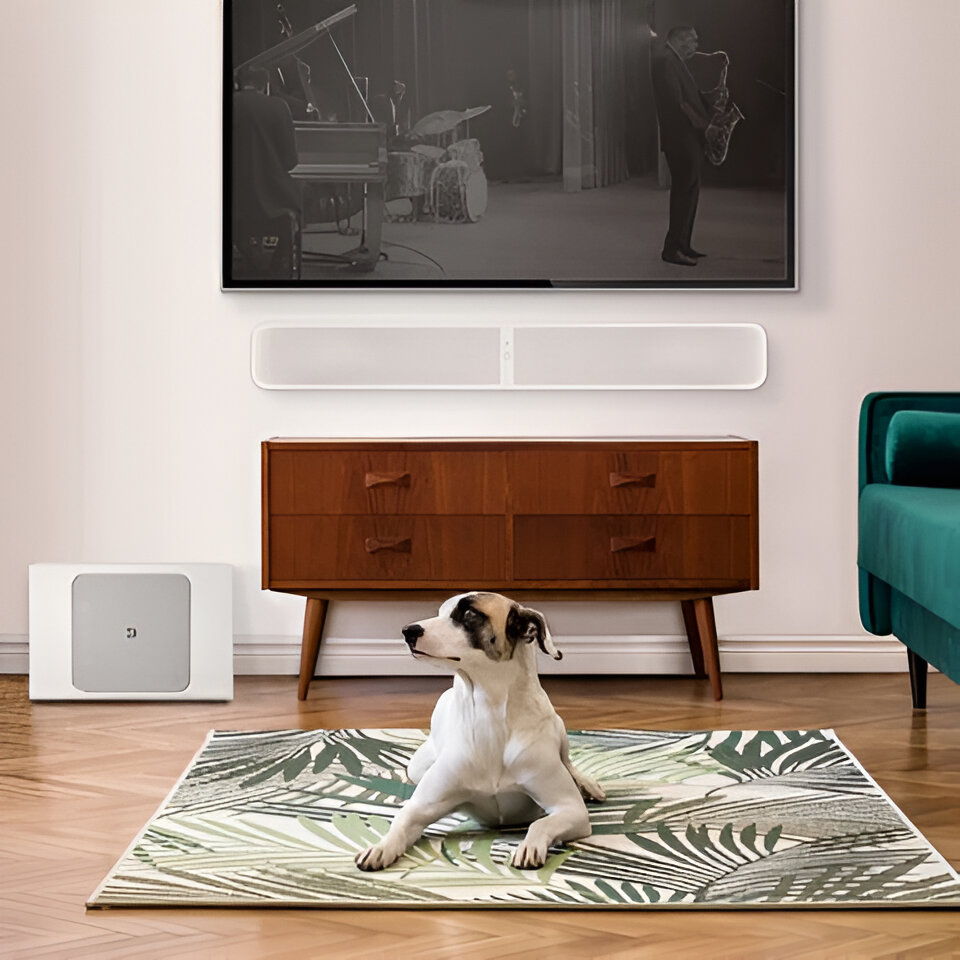 Bluesound PULSE SUB+ Wireless "Place Anywhere" Powered ... 5