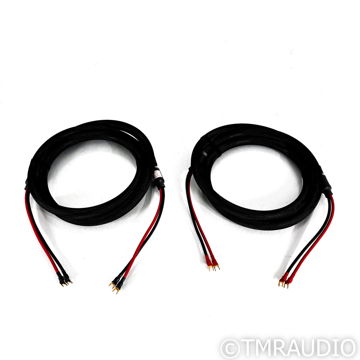 Purist Audio Design Venustas Praesto Revision Speaker C...