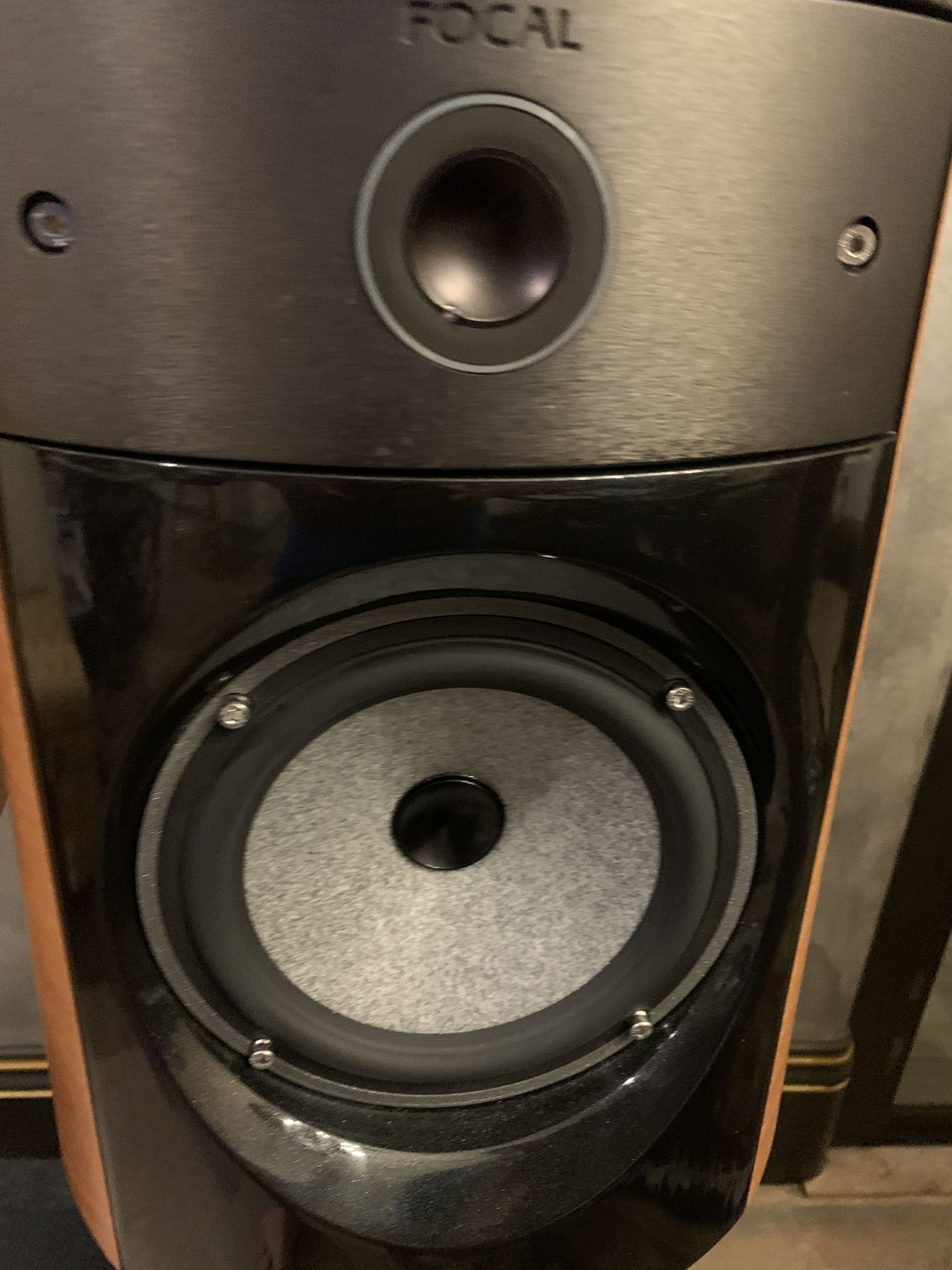 Focal Electra 1007s  and matching stands 6