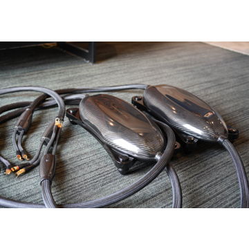 Transparent Audio Opus speaker Cable 15' pr.
