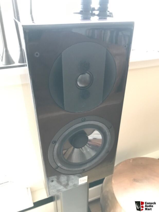 Vienna Acoustics Haydn Grand Symphony Speakers 8