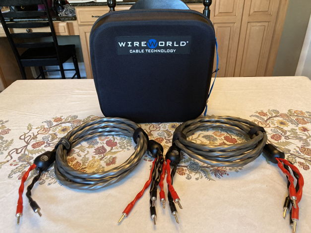 Wireworld Equinox 7 Bi-Wire Speaker Cable in 3 M with B...