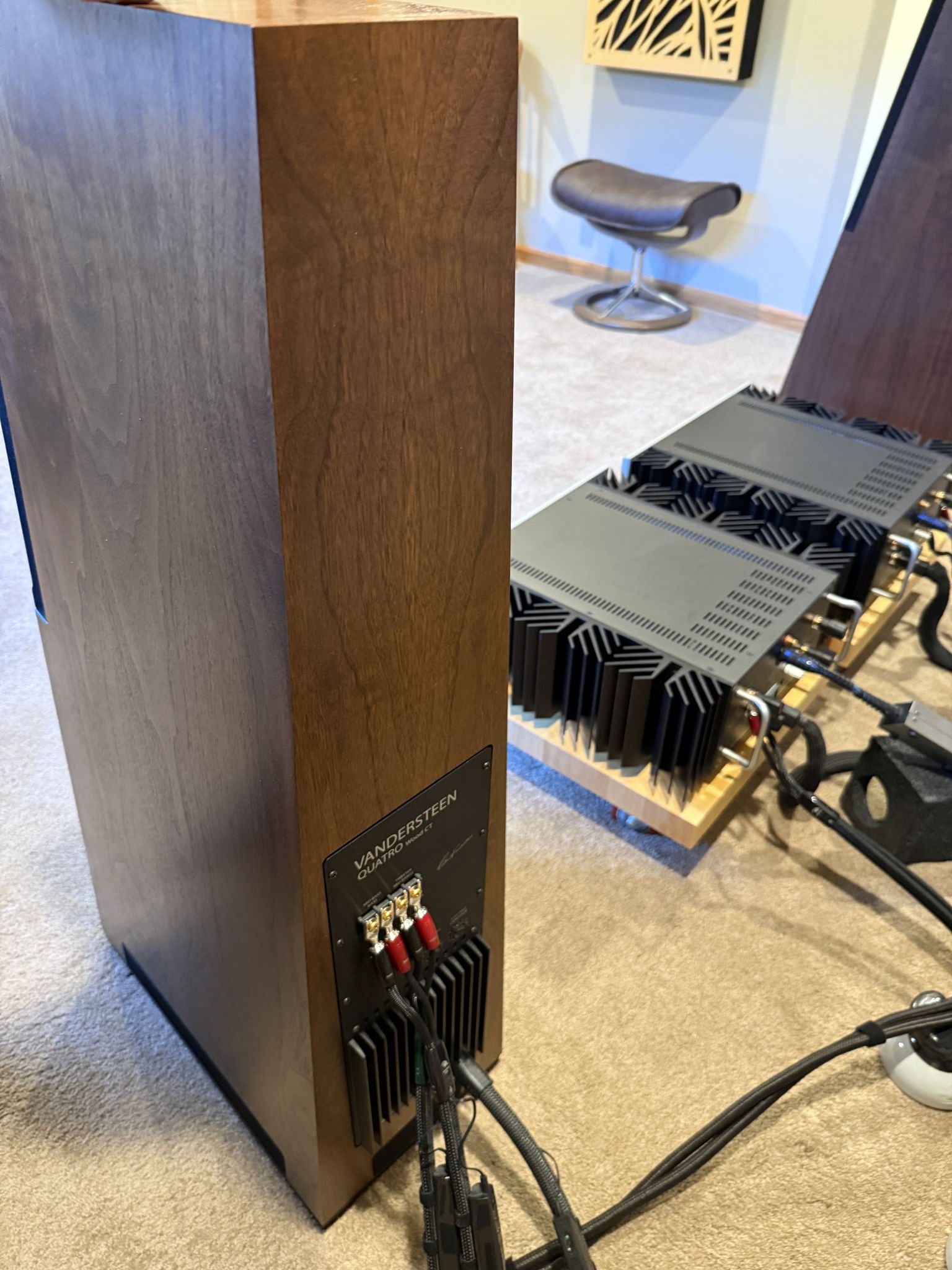 Vandersteen Quatro Wood CT 8