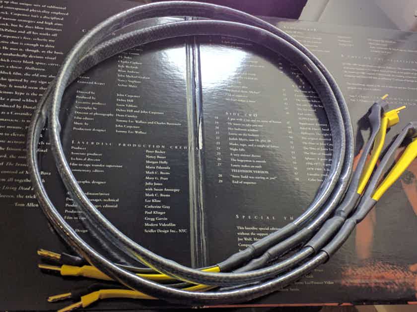 Negro analysis plus black oval reviews your