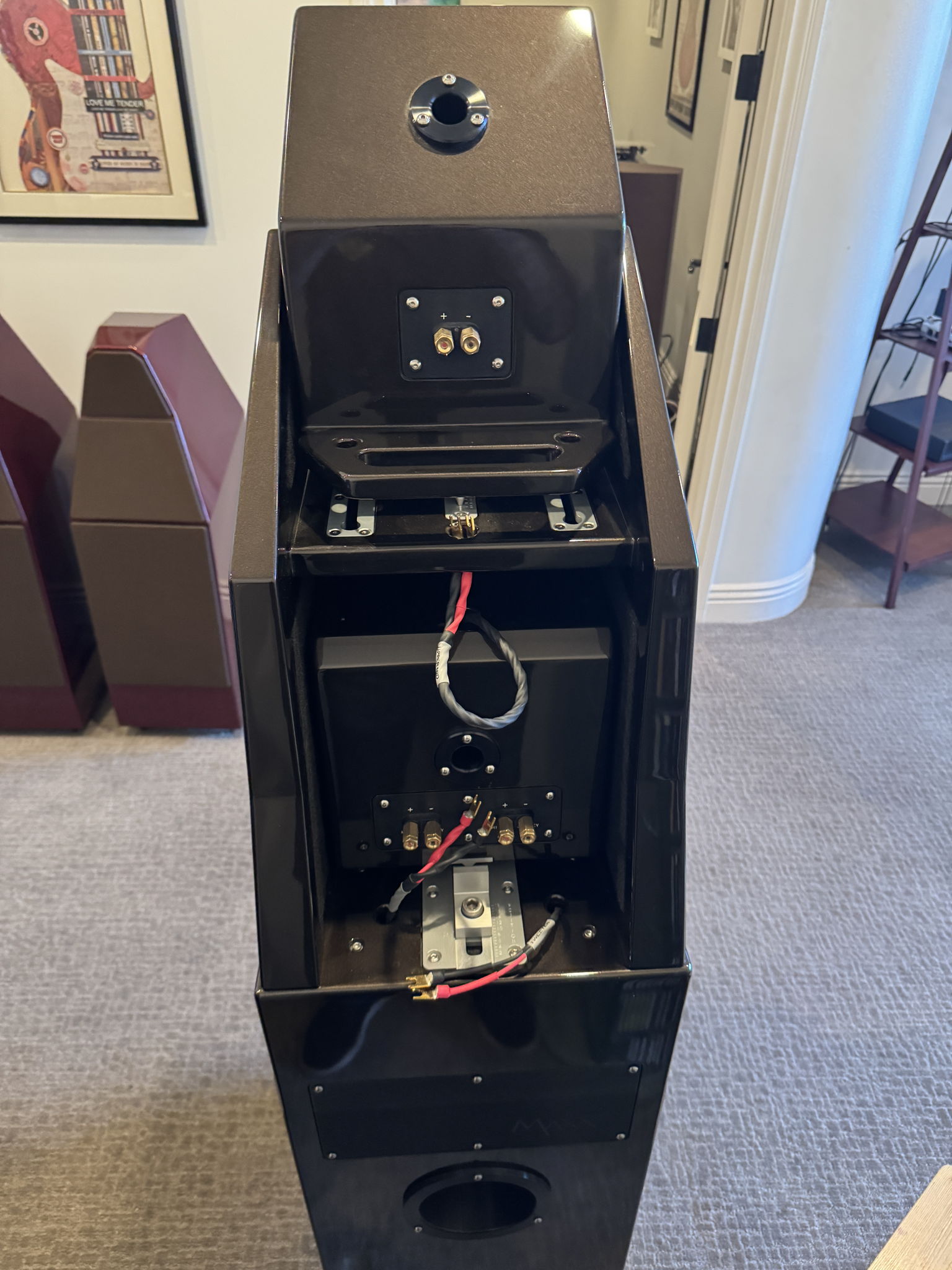 Wilson Audio Certified Authentic Pre-Owned MAXX 3 8