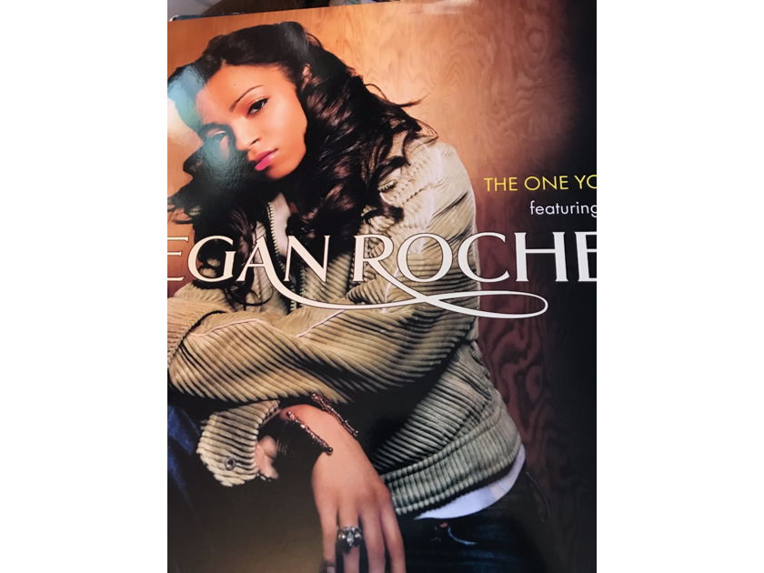 Megan Rochell - The One You Need  Megan Rochell - The One You Need