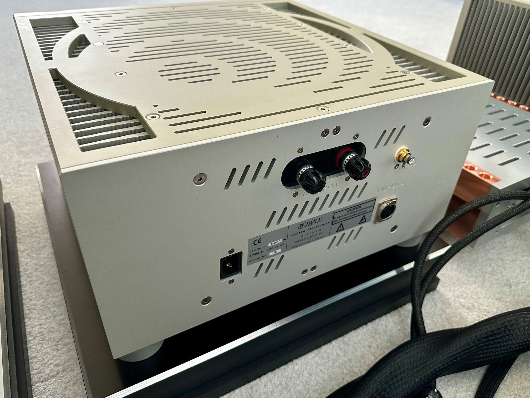 Ypsilon  Aelius II Hybrid Monoblock Amps 6