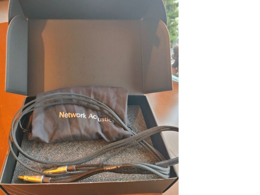 Network Acoustics Muon 2 USB Cable 1.5M