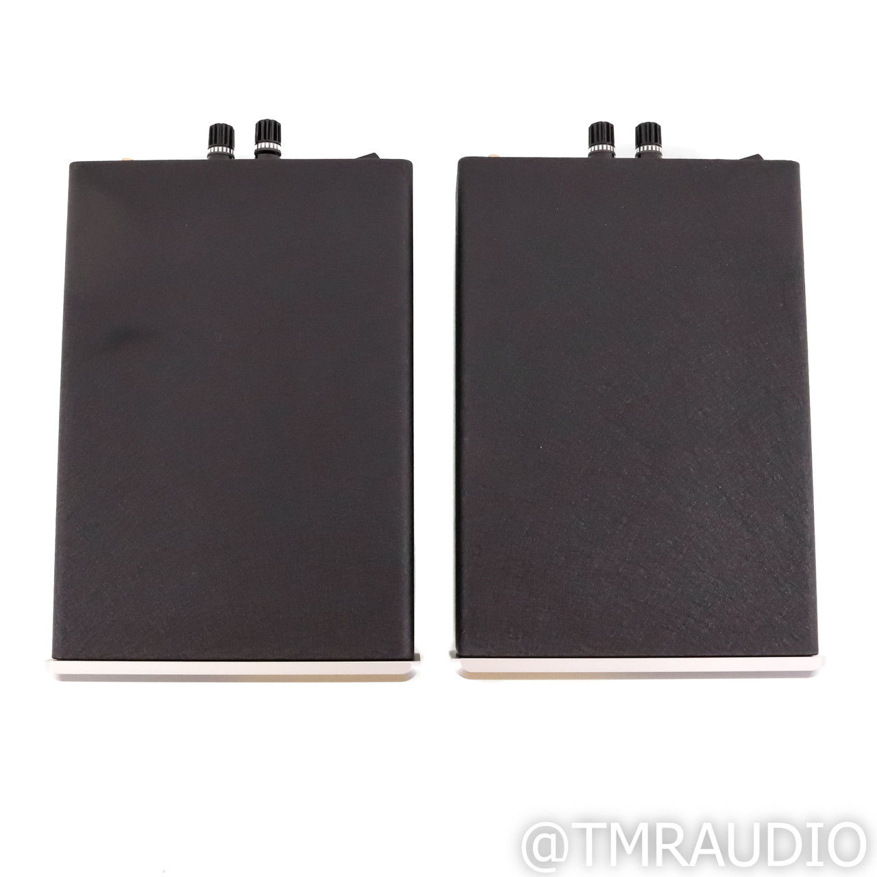 Bel Canto e.One REF600M Monoblock Power Amplifier; Pair... 4