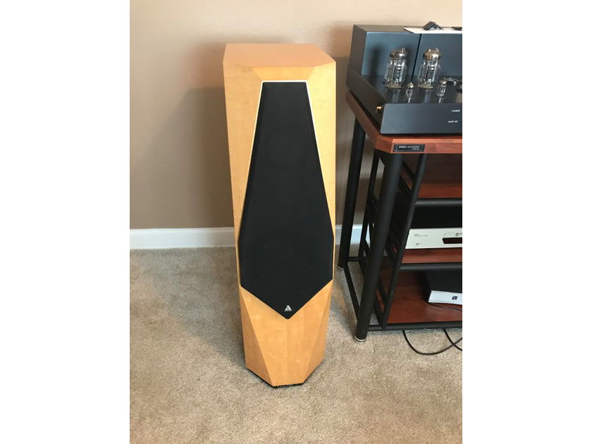 Avalon Eidolon Speakers- CRATES & MANUAL INCLUDED / 1ST OWNER
