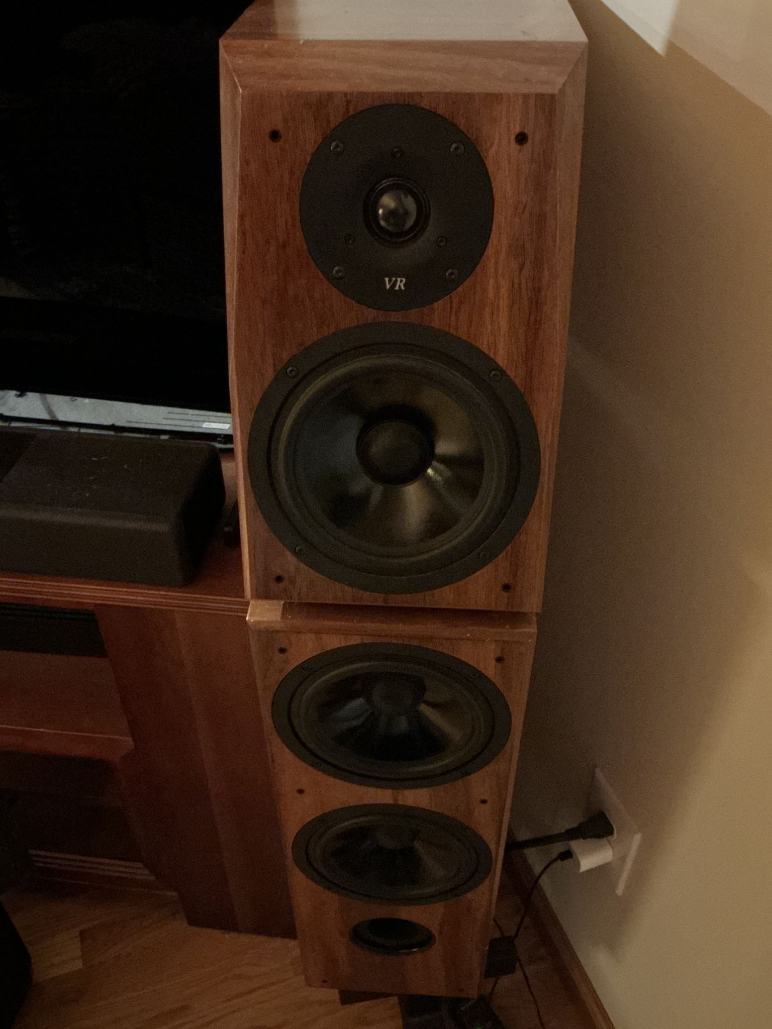 Von Schweikert Audio VR-4jr Full Range Speakers, Africa... 10