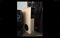 Lansche Audio 4.2 Semi-Active Corona Plasma Speaker 7