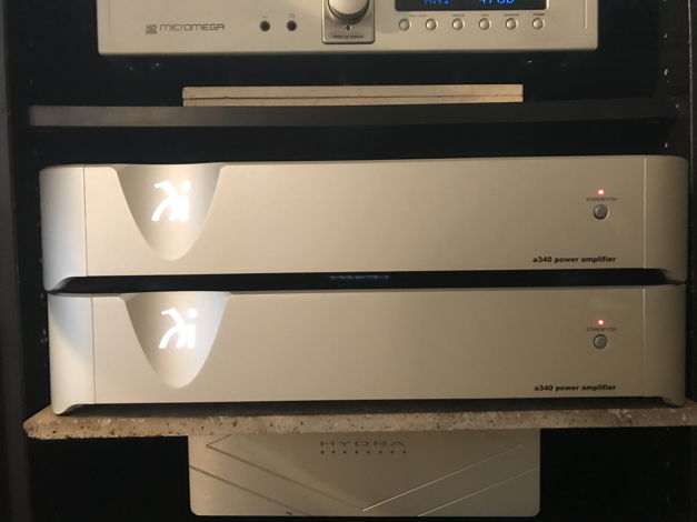 Wadia a340 mono-block amps EXCELLENT price to sell