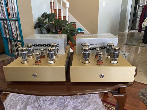 TriangleART Reference Monoblock amplifier