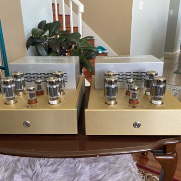 TriangleART Reference Monoblock amplifier