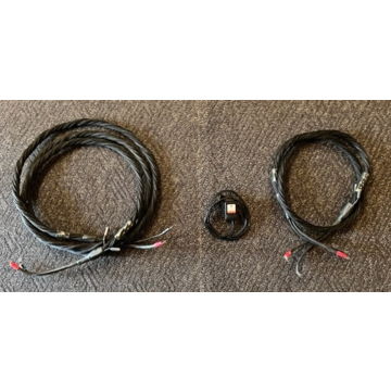 Synergistic Research Element: CTS Spk cables one 10 & o...