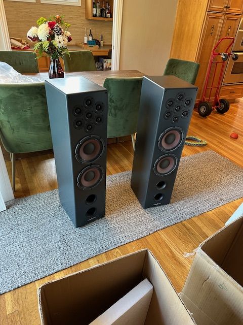 Tekton Design Enzo Speakers For Sale Audiogon