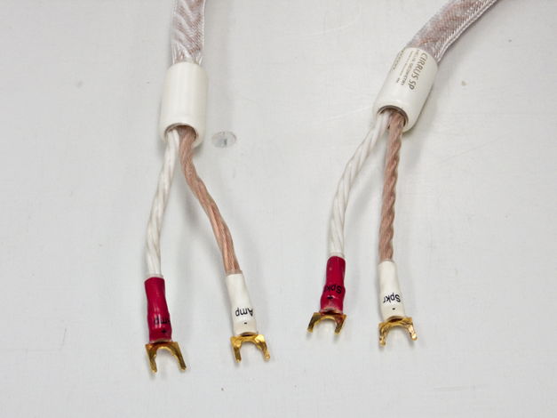 Shunyata Cirrus Speaker Cables, Spades / 3.0 m – FREE ...
