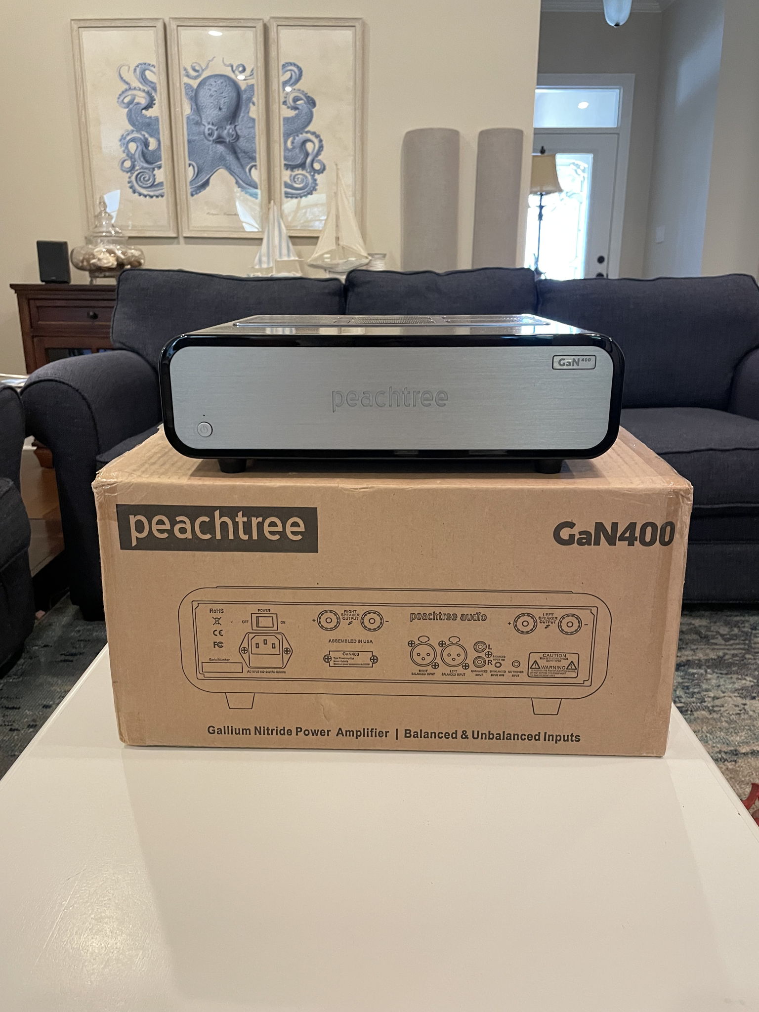 Peachtree Audio GaN400