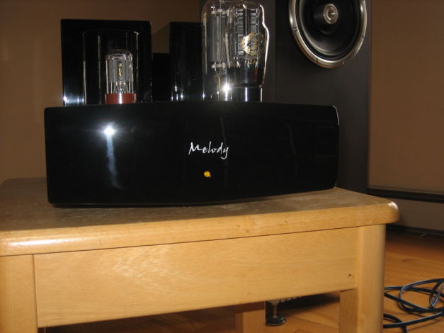 Melody M845 mono block amplifiers