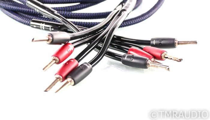 AudioQuest Type 4 Speaker Cables; 10ft Pair (27749)