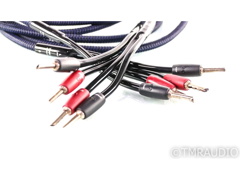 AudioQuest Type 4 Speaker Cables; 10ft Pair (27749)