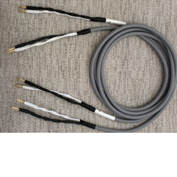 Canare  4S11, 8ft pair High Resolution speaker cables.