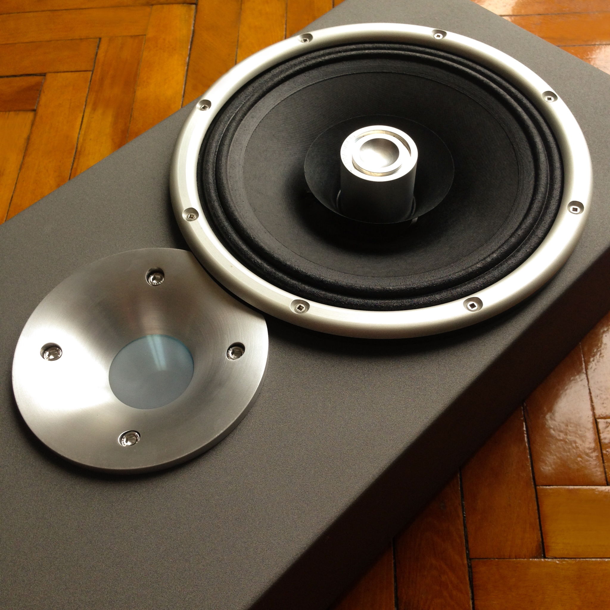 Zu Audio Druid after upgrade with Radian super tweeter. 