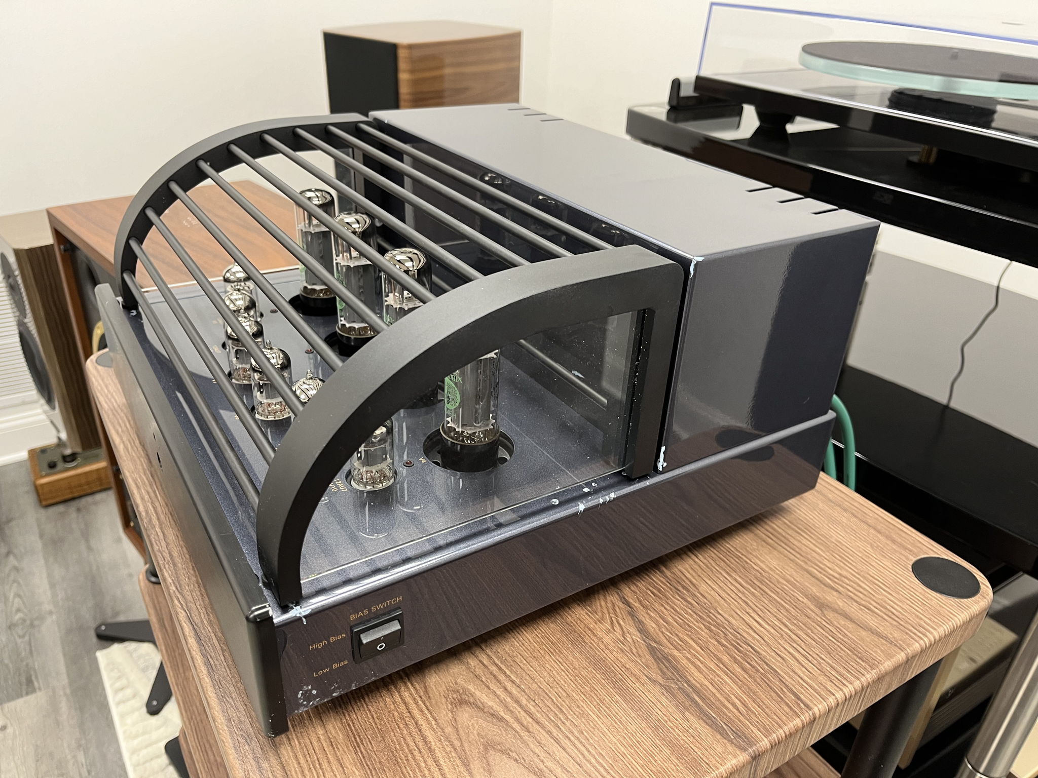 PrimaLuna EVO 300 Tube Power Amplifier 4