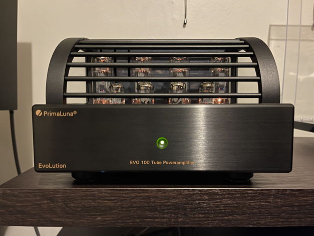 PrimaLuna Evo 100 Power Amplifier