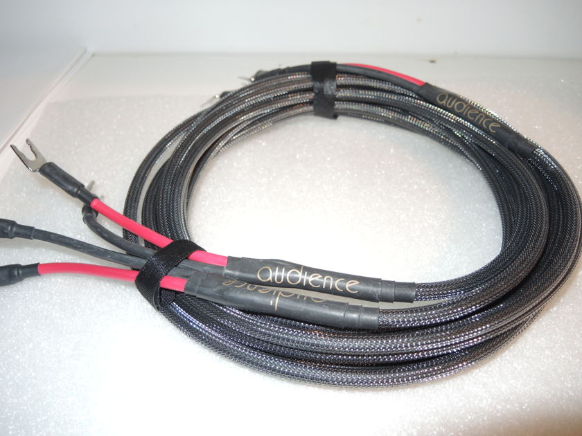 Audience Conductor SE Speaker Cable, 3.0 meter pair - REDUCED