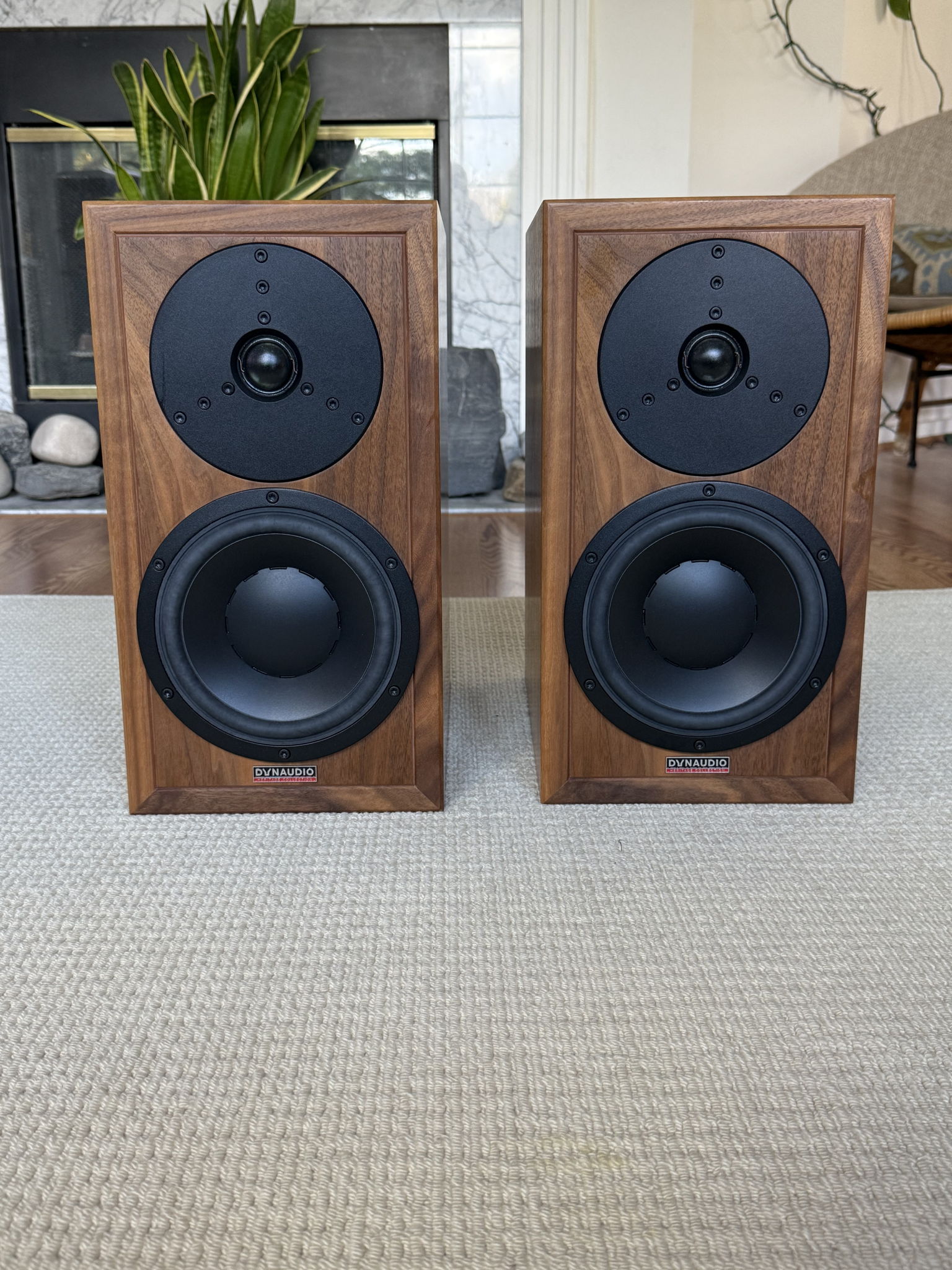 Dynaudio Heritage Special 2