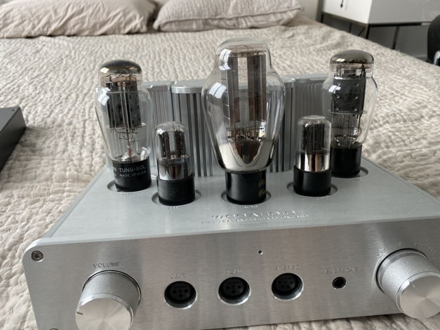 Woo Audio Wa22 - with high-end upgraded Tubes
