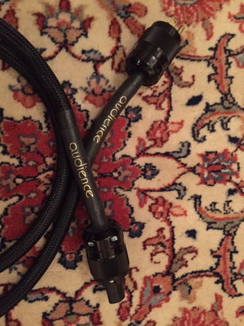 Audience PowerChord 6 ft. Excellent Condition
