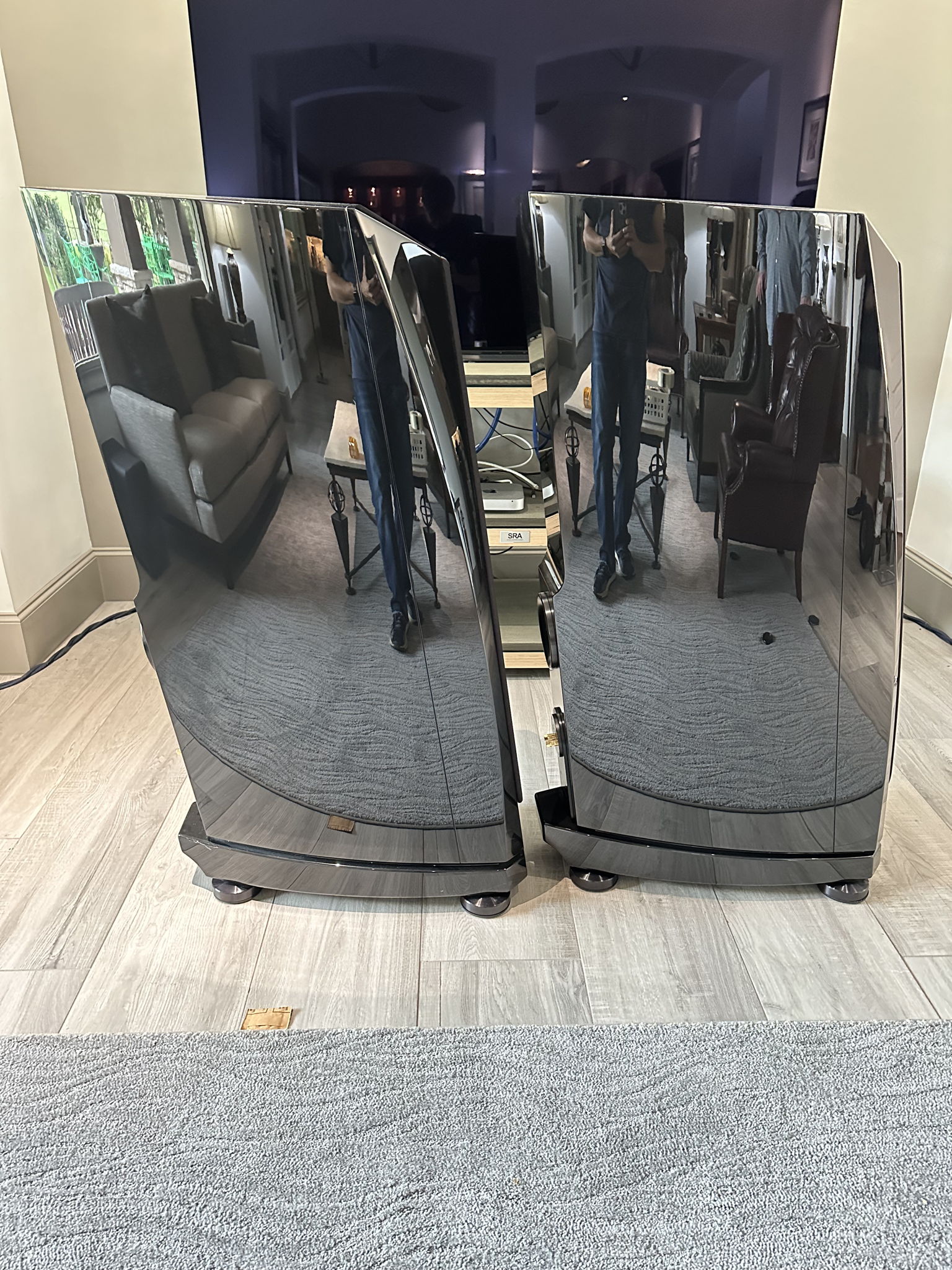 Rockport Technologies Cygnus Full Range Speakers Custom... 3