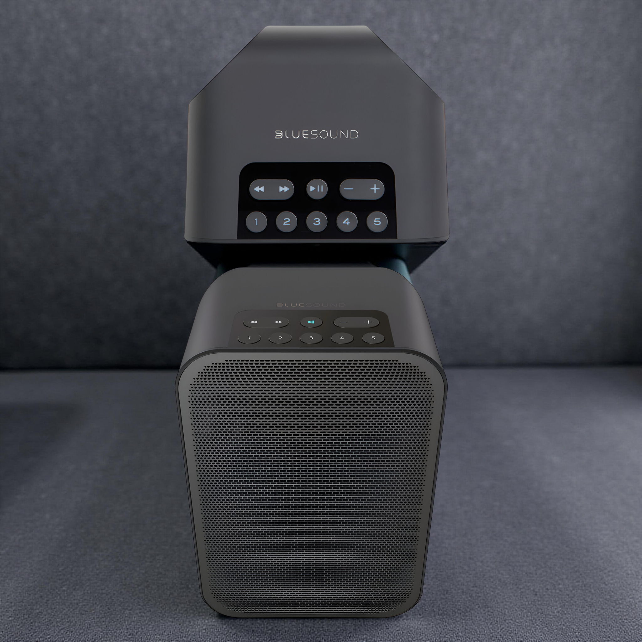 Bluesound Pulse Flex 2i Portable Wireless Streaming Spe... 4