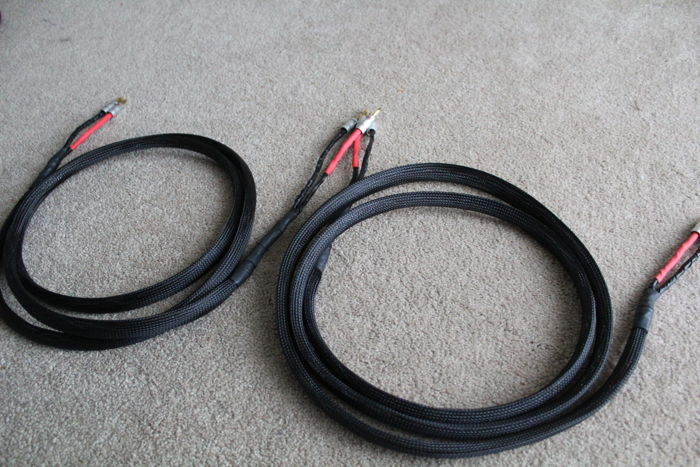 Homegrown Audio HGA X32 Speaker Cable 8' "fine detail"