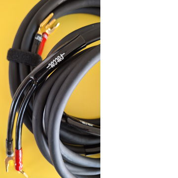 True Audio FATCAT exceptional value performance audioph...