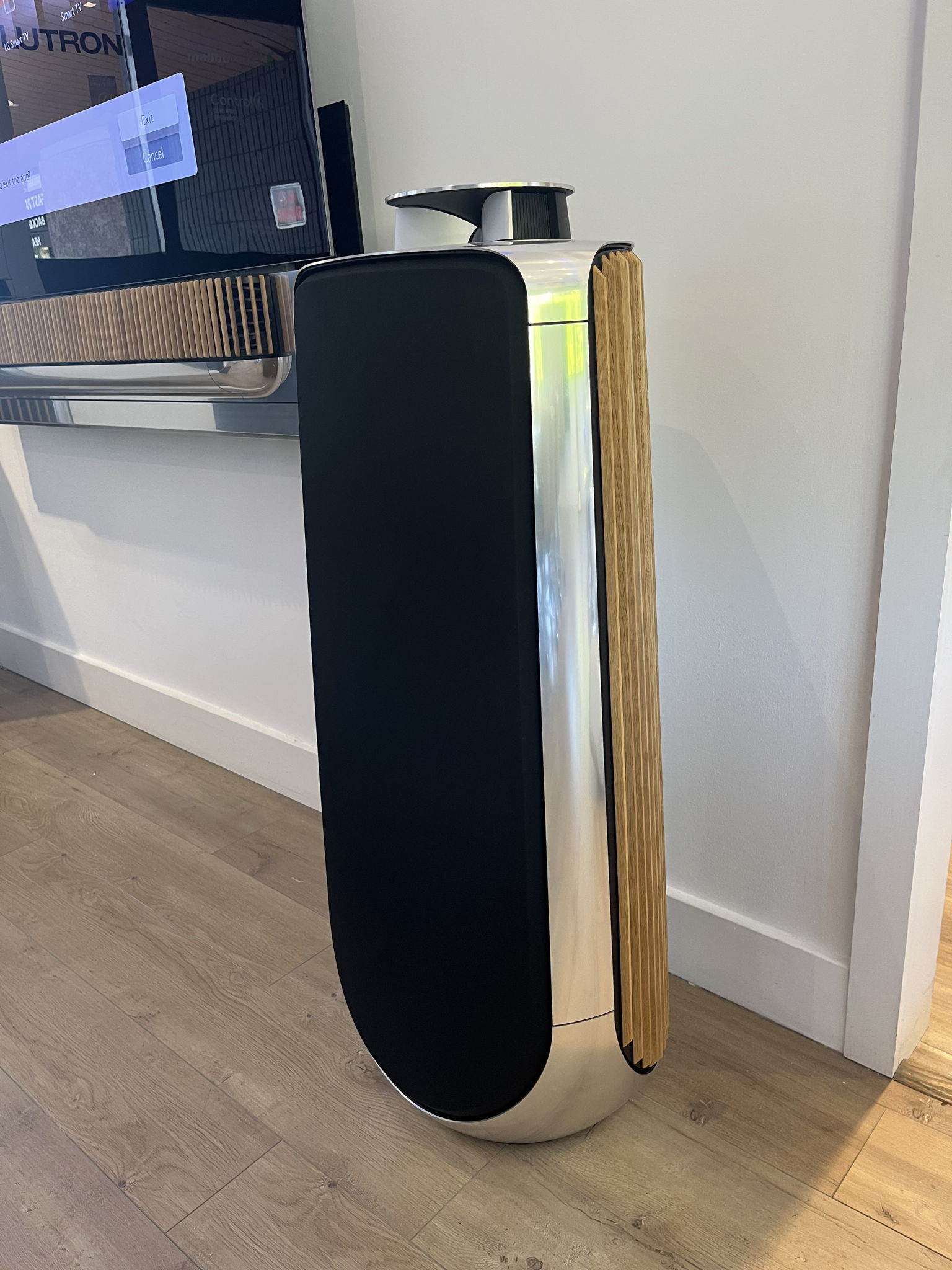 Bang & Olufsen Beolab 50s