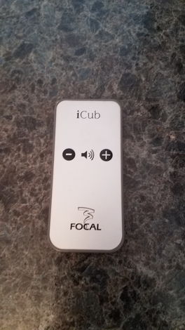 Focal iCub sub that powers speakers