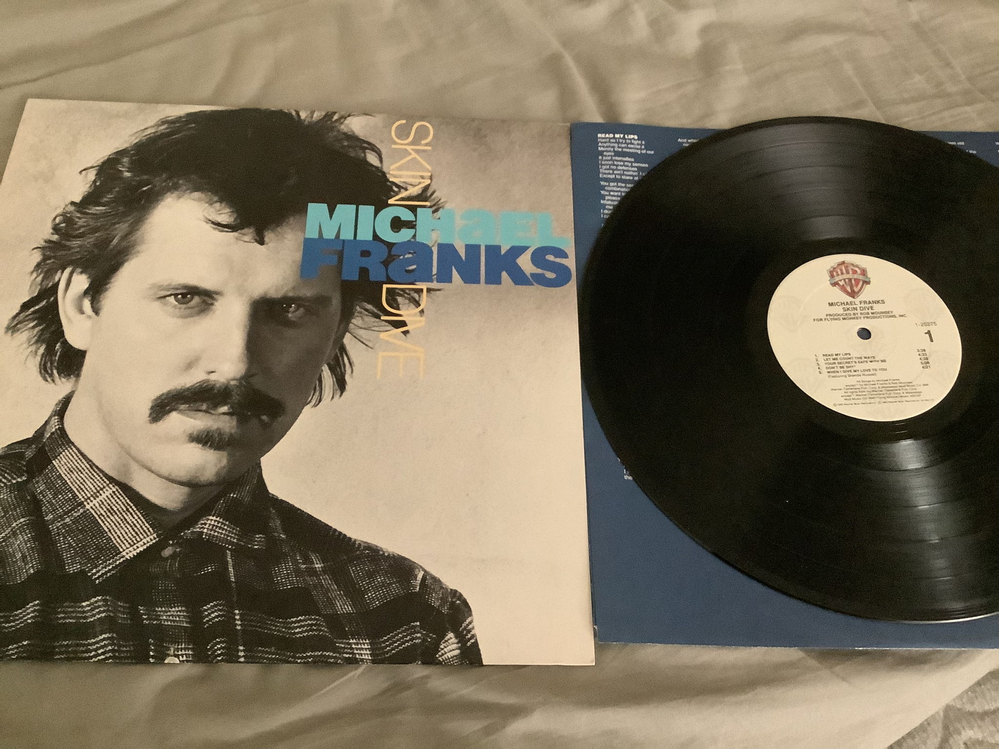 Michael Franks  Skin Dive