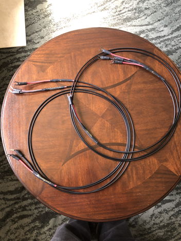 Audience Au24 shot gun bi-wire speaker cables (2.0 meters)