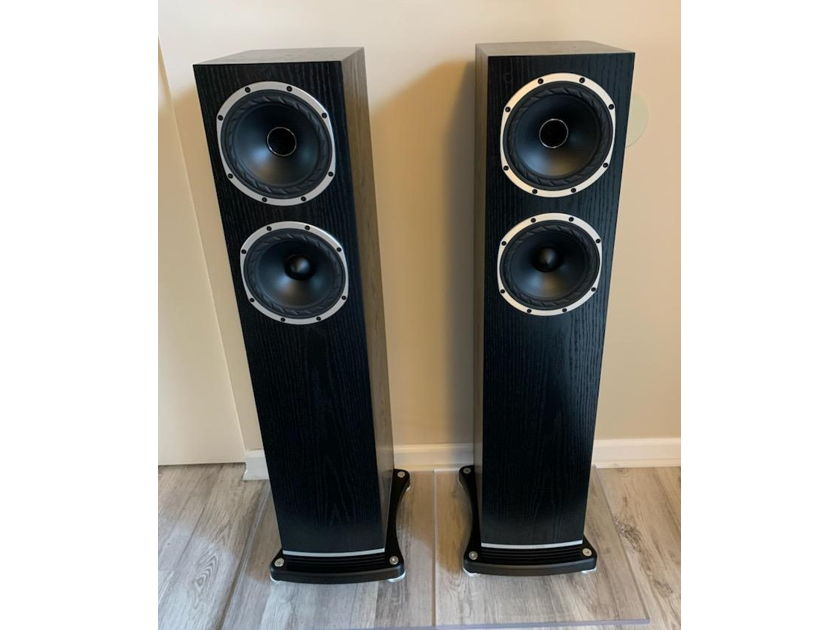 Fyne Audio F501 Floorstanding Speakers -- 90dB Sensitivity and 36Hz Bass -- Like New Condition!